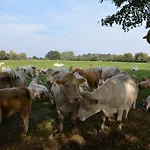 Landromantik