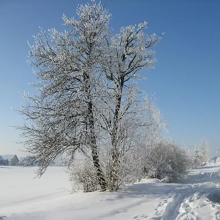 Appartement Landromantik *