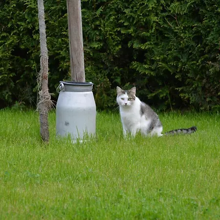 Landromantik * Bautzen